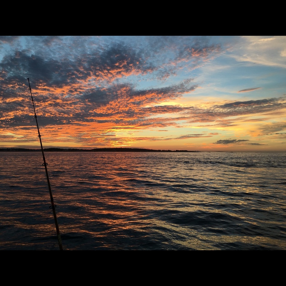 Everything must go!!